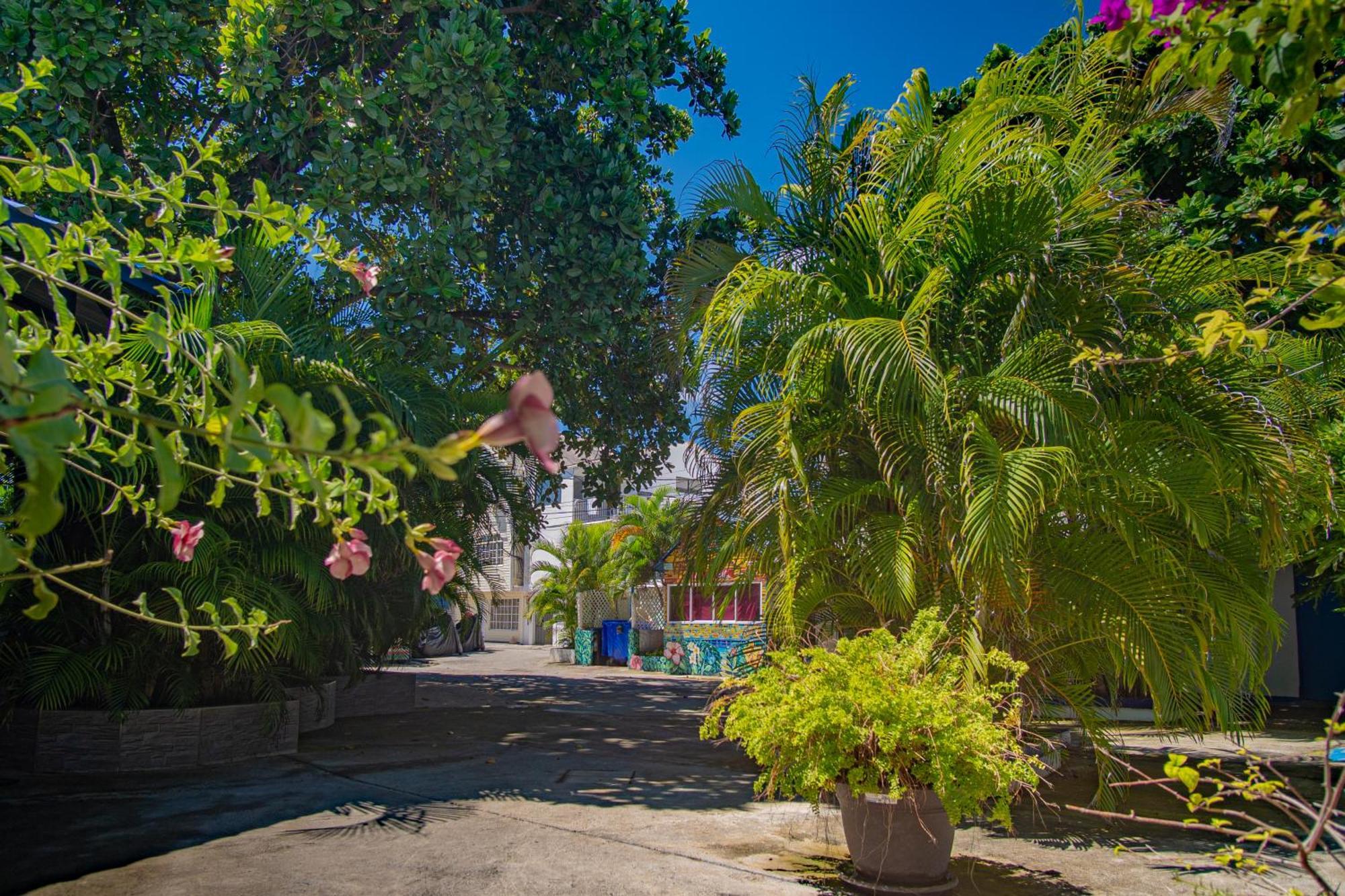 Alojamiento San Martin San Andrés Kültér fotó